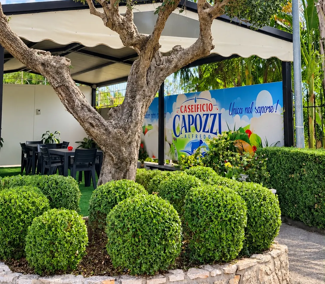 Il gazebo con i tavoli e le sedie, dietro l'ulivo