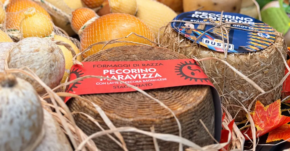 Il pecorino Maravizza e il pecorino Roncione al banco
